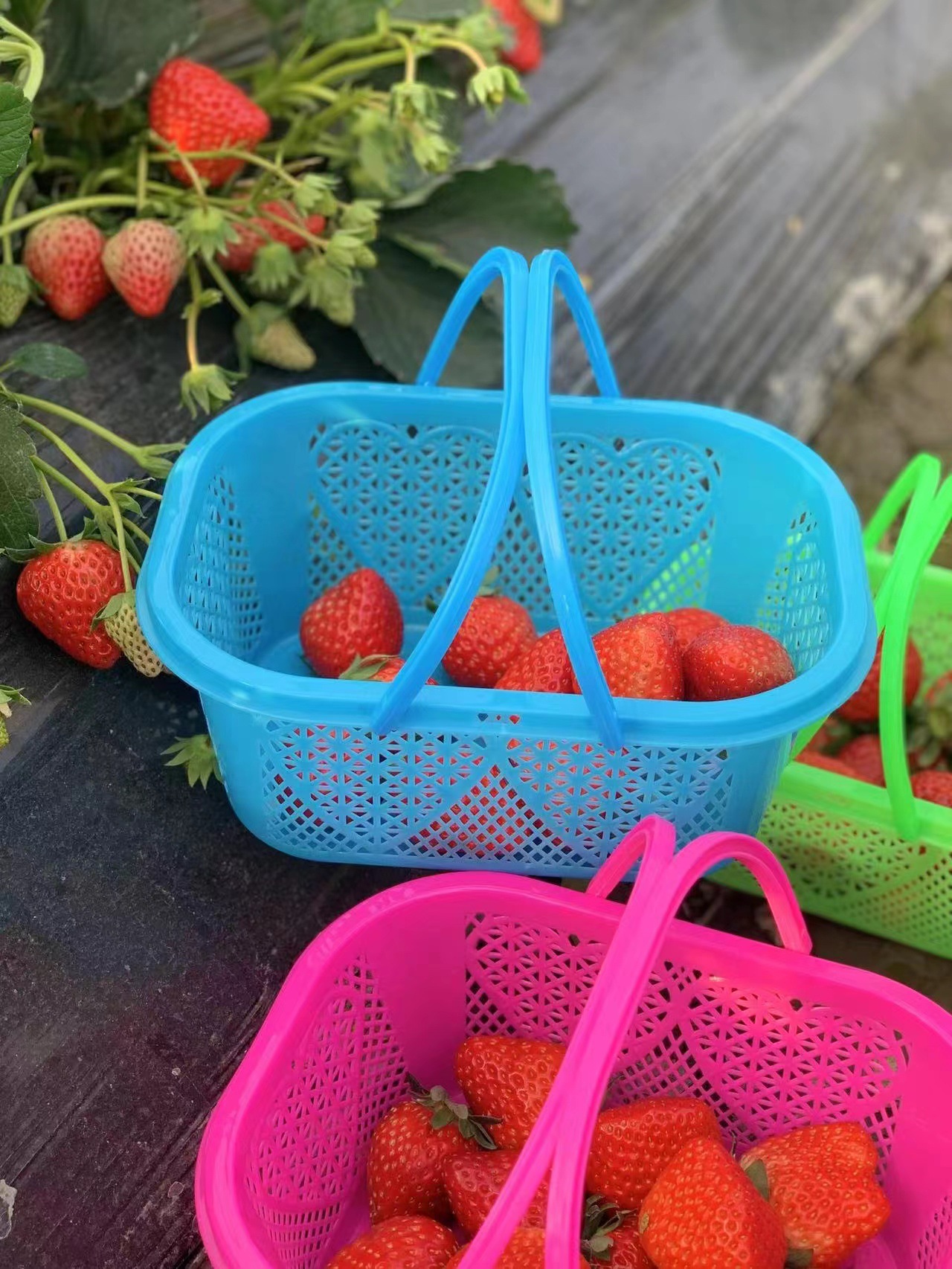 0840b2ab568671e83fe8afb97da874