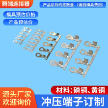 线耳圆环梅花带齿OT接地片裸端子地环铜鼻子专用灯头端子厂家