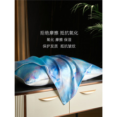 真丝枕套一对装40姆米天丝桑蚕丝丝绸48x74cm冰丝单个枕头套印花