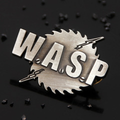 歐美影視周邊 怪奇物語WASP胸針 男主英文字母同款金屬徽章