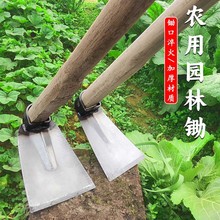 农用锄头锰钢大锄头户外两用除草挖土农具挖笋铁锹铲开荒挖地撅头