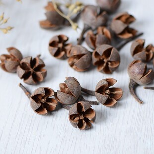 ��Ȼ�ɻ��ɹ���ʮ�ֹ��^�}�Q���h������� ɭϵ�Ʒ����DIY��ˇƷ