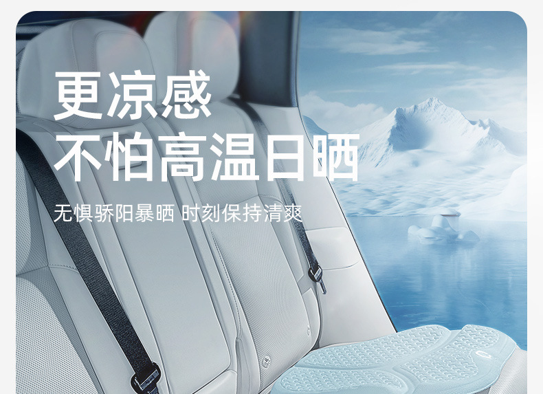Joe's Car Products 24 Years Ice Yue Cushion Z-603