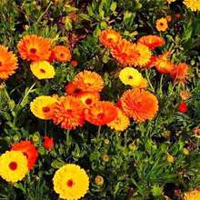 KշNļN׻N̨ԻNLջͥԺ