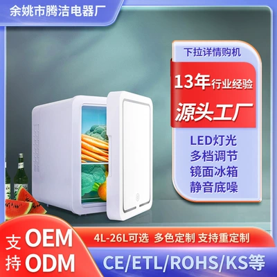 4L Mirror Car Refrigerator Large Capacity Freezer Home Beauty Dc Refrigerator Manufacturer Direct Delivery Supports Cross-Border Delivery