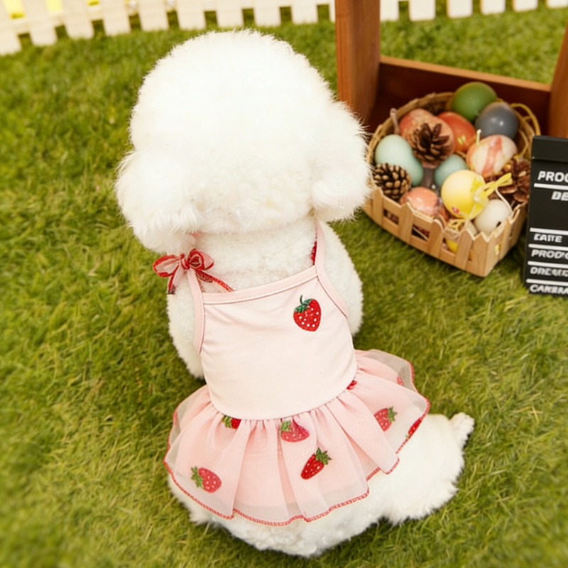 새로운 애완동물 의류, 여름용 강아지 스커트, 테디 강아지, 고양이, 강아지용 멜빵 메쉬 스커트, 투투 스커트