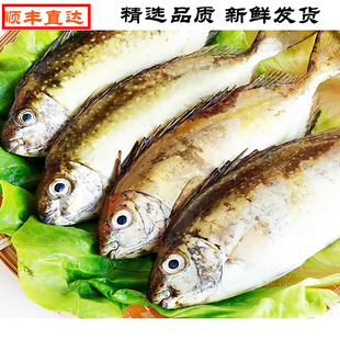 ����������ƺ��������~�������~���{���~�����~�����~���r����