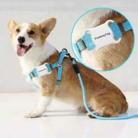 Новый Pet Locator Водонепроницаемый Bluetooth Противоречное устройство Собака Кошка Трекер GPS Pet Founcer