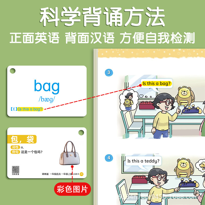 2025新版译林版单词卡片小学生英语一年级起点课本同步学习卡片|undefined