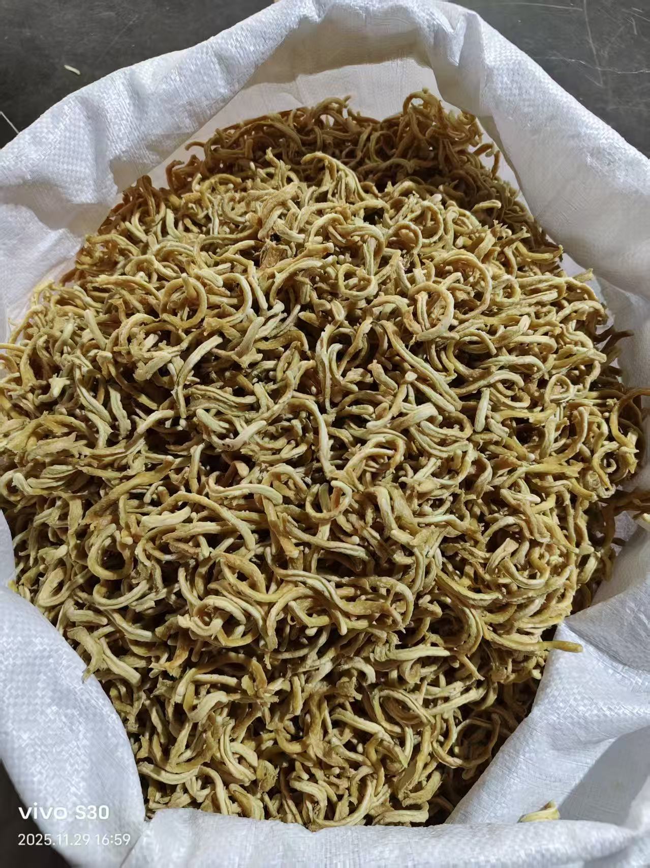 lQDPJxXKsDZqdKPNBqrNBP-w-qQ1Wv