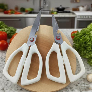 ���P䓏N���������ü����_�u�����~���߲ˊA����ʳ��๦�ܼ���