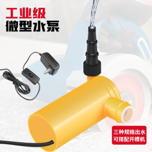 12Vֱ��΢�ͼ������㝓ˮ��220v�_�ۙCСˮ�ó�ˮ������ˮ荌���