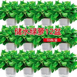 花盆容器;收纳架;厨房置物架