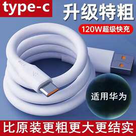 120W加粗蟒蛇6A超级快充数据线适用typec苹果安卓华为接口线批发