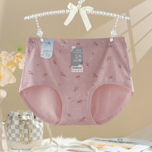 ��ѝŮ����2024�¿��H�w�p�����dŮʿ���m�o������͸���黨����ѝ