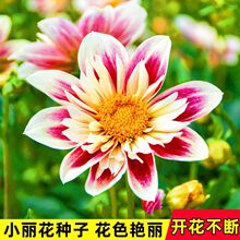 С�����N���ļ��_���׻��ͥԺ�҃����̨���N�ļ��_�����Ի���