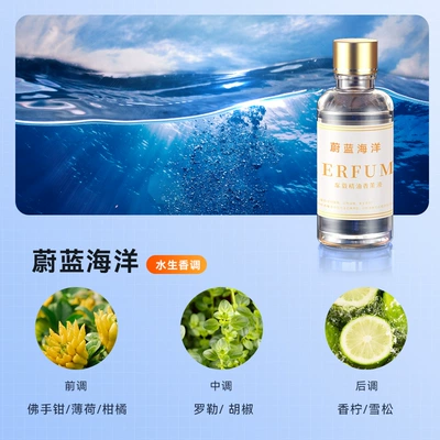 Car Perfume Aromatherapy 50ml In-Car Essential Oil - 50ml-supplement-solution-azure-ocean