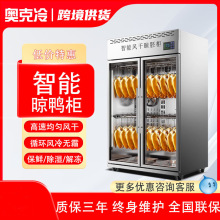 晾鸭柜商用烧鹅烧鸭烧腊挂肉柜保鲜烘干机烤鸭风干冷藏智能晾胚柜
