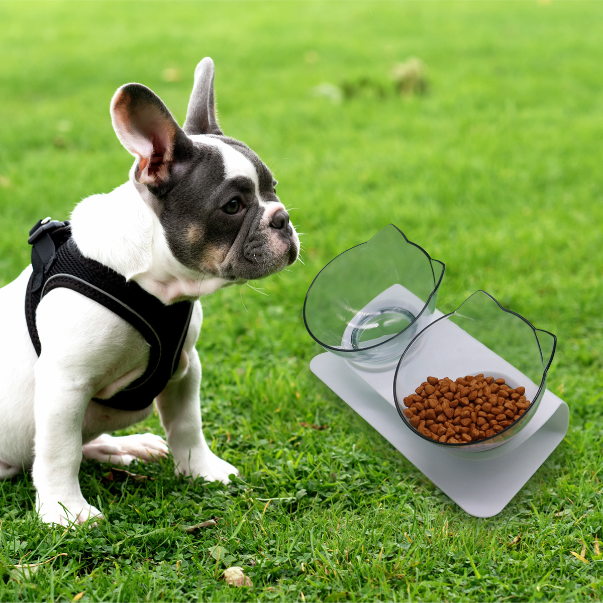 Tazón para gatos, agua y alimentos para mascotas, doble tazón de comida para gatos, platos para gatos, tazón de comida para gatos, tazón de comida para gatos, tazón de agua para gatos, tazón de comida para gatos