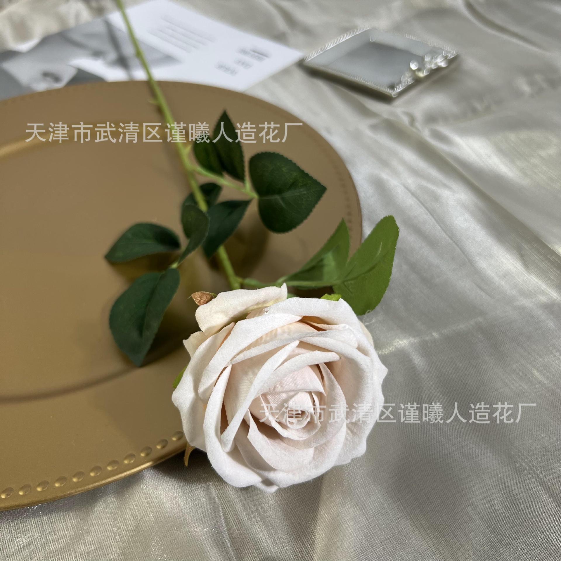 다크 화이트