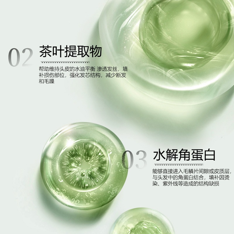 El champú de fragancia Zhengyu mejora la calidad del cabello, mejora el cabello dañado, seco y seco, champú suave y fresco.