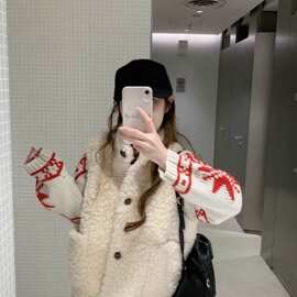韩系小众别致羊羔毛马甲背心女冬季百搭显保暖外搭短款马夹外套