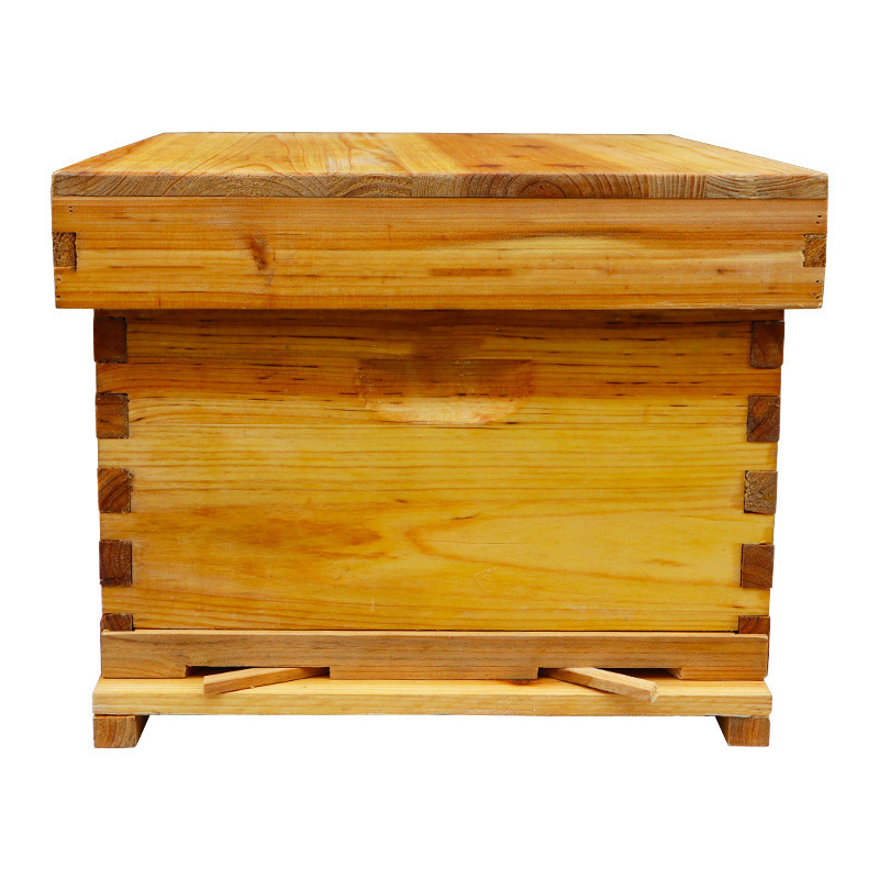 Y colmena de abejas, conjunto completo de abejas atraídas, diez marcos, siete marcos, colmena de abejas estándar, tablero de madera, barril de abejas, apicultura especial L