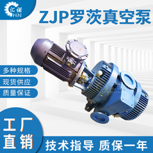 厂家罗茨真空泵ZJP/ZJ型罗茨泵ZJP300ZJP150真空机组用增压泵