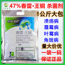 47%春雷霉素王铜春雷王铜 柑橘溃炀病细菌病农药杀菌剂黄瓜霜霉病