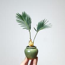 �F�䌚���K�F�辰���������k���ҕ�����X��ؐС�Gֲ��ꎺ��Bֲ��