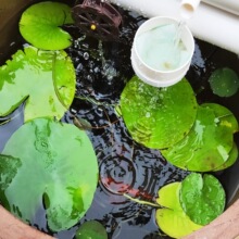 P2���~���^�V��ˮѭ�h��ˮ���ɸ�ʯ�ۈA���߸��B�~����С���^�V��