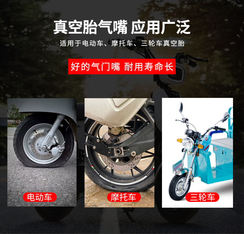 Mike Electric Vehicle Valve Vacuum Tire Valve Tire Valve Electric Vehicle Motorcycle Tricycle Air Wholesale