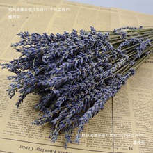 ޹�¸ɻ�������������͏d�b�С���������ɻ��҃ȿ͏d֦�l