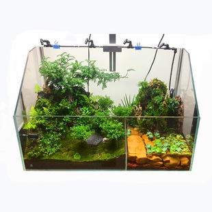 Huang Yuanzhijia Huang Yuan Turtle Anyuan Turtle Ecological Water and Land Turtle Tank Turtle Tank Turtle Box Environmental Landscaping Plant Hua Geng