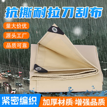 ���Sɫ�Ӻ񵶹β�������겼�������Ͳ�؛܇������������겼