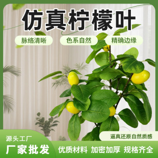 ����ֲ�������~�����~�����~�ֹ�DIY��֦�Gֲ��������zӰ����