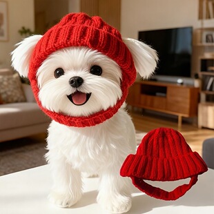 �¿��ᘿ�ë��ñ��ë�oë؈��С����ů���������^���b���ñ