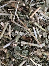 �����]���n�ݲ݃��ݲ������� ÿ��500�� ��ʮ��С�r�l؛