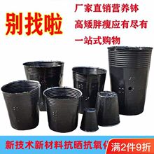 ������Nֲ�����ϻ�������ѿ����I�B���I�B���籭��������P����