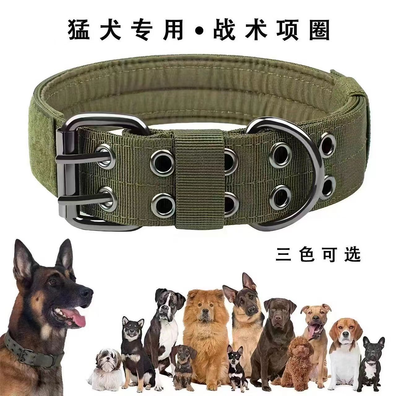 Dog Collar for Medium and Large Dogs, Malinois, Golden Retriever, Pitbull, Anti-Bite Neck Collar, Leash, Durable and Adjustable