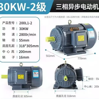 YE3-200L1-2 30KW 2极三相异步电动机定制全铜高效三相异步电机