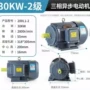 三相全铜定制异步电动机
