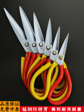 ?���ü����I�����N���k�������i�Ƥ��ÿp���b��С̖���^�����