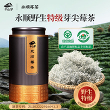 100克2025年新茶永顺特级野生芽尖莓茶正宗龙须莓茶藤茶