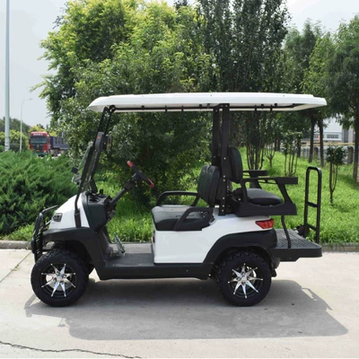 Zhongfeiyida Zhongyi Golf Cart Elektrikli qolf avtomobilləri