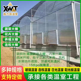 单体大棚连栋大棚温室玻璃温室大棚农业温室工程厂家批发镀锌钢