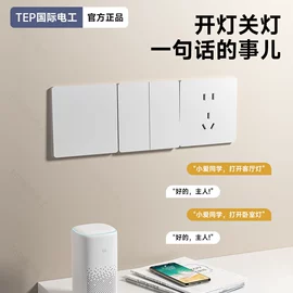 墙壁开关;墙壁插座;其他插座