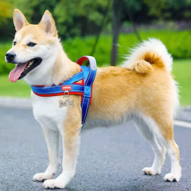 马鞍式狗狗牵引绳中小型犬比熊防挣脱遛狗绳泰迪宠物胸背带遛狗链|undefined
