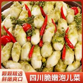 四川特产泡儿菜冬季新鲜爽口观音传统老坛泡菜开胃酸菜下饭菜咸菜