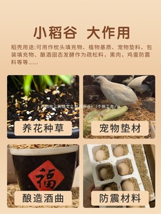 Rice Husk 50kg Rice Husk for Brewing Fermentation, Pillow Filling, Animal Bedding, Northeast Valley Wind Source, China with Stems